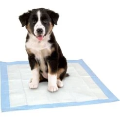 Dr. Pol 22x22-in Dog Training Pad, 100 Count -Dog Supplies 773726 PT6. AC SS1800 V1676913946
