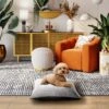 Max & Marlow Plush Pillow Cat & Dog Bed, Large -Dog Supplies 780718 MAIN. AC SS1800 V1678993238