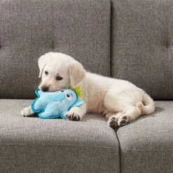 Outward Hound Xtreme Seamz Elephant Durable Squeaky Dog Toy, Blue, Medium -Dog Supplies 786798 PT5. AC SS1800 V1682620898