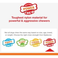 Nylabone Power Chew Baguette Dog Toy Chicken -Dog Supplies 794742 PT6. AC SS1800 V1689707871