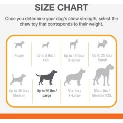Nylabone Power Chew Baguette Dog Toy Chicken -Dog Supplies 794742 PT7. AC SS1800 V1689706188