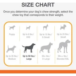 Nylabone Power Chew Broccoli Dog Toy Bacon Cheese -Dog Supplies 794758 PT7. AC SS1800 V1692216726