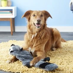 Hyper Pet Super Squeaker Raccoon Critter Skinz Dog Toy 13 Hyper Pet Super Squeaker Raccoon Critter Skinz Dog Toy -Dog Supplies 80117 PT6. AC SS1800 V1531515744