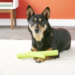 Hyper Pet Hyper Chewz Dog Chew Toy 15 Hyper Pet Hyper Chewz Dog Chew Toy -Dog Supplies 80170 PT4. AC SS1800 V1530912772