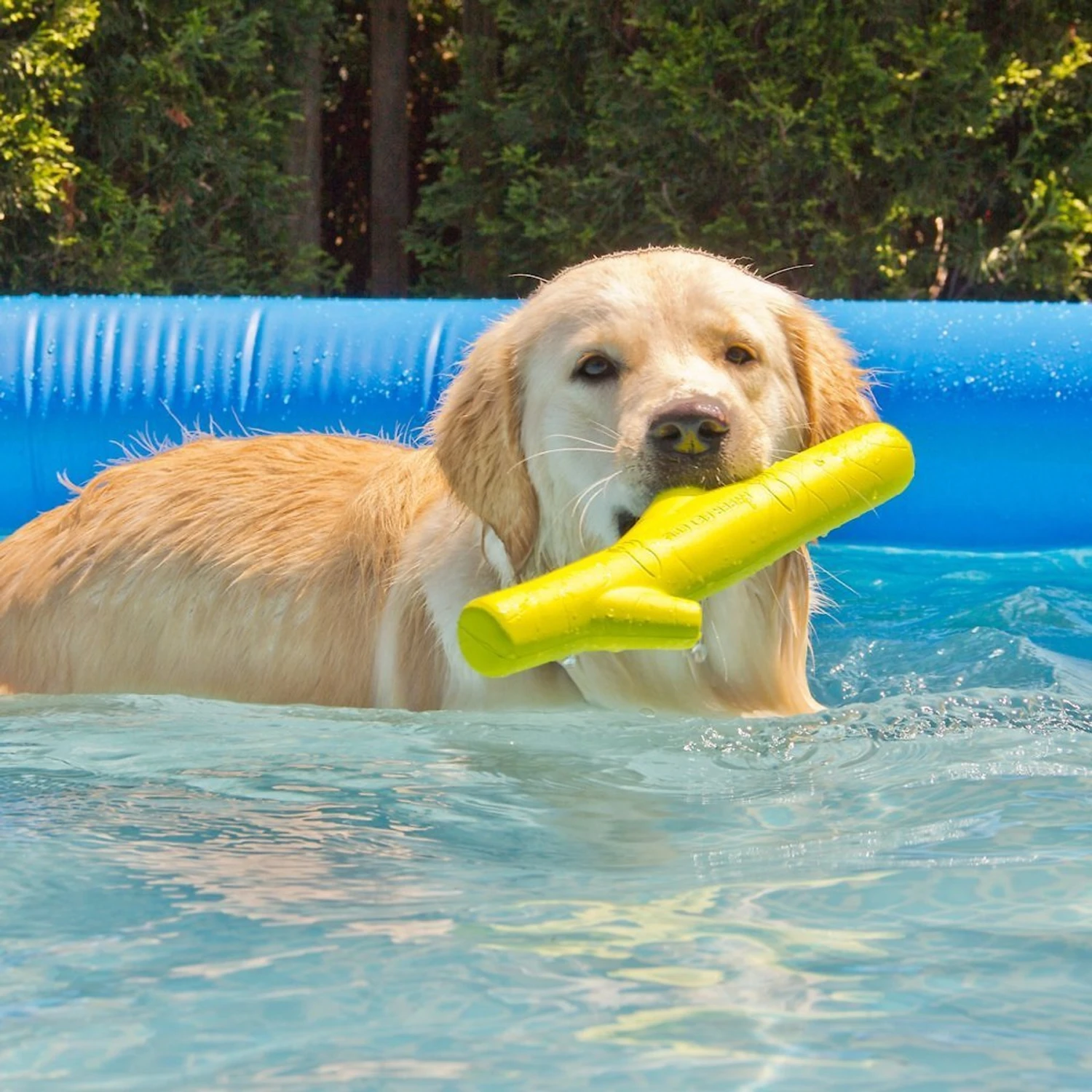 Hyper Pet Hyper Chewz Dog Chew Toy 11 Hyper Pet Hyper Chewz Dog Chew Toy - Image 9