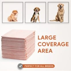 Chew + Heal Max Protect Ultra Absorbent Dog Potty Pads, 30 X 36-in -Dog Supplies 804806 PT4. AC SS1800 V1679000985