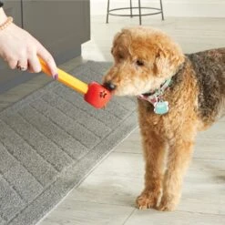 Brightkins Pooch School! Training Set Dog Toys -Dog Supplies 805342 PT3. AC SS1800 V1682450379