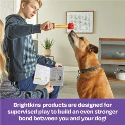 Brightkins Pooch School! Training Set Dog Toys -Dog Supplies 805342 PT5. AC SS1800 V1682450384