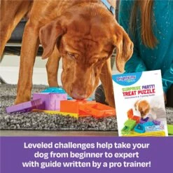 Brightkins Surprise Party! Puzzle Treat Dog Toy -Dog Supplies 805390 PT2. AC SS1800 V1679069715