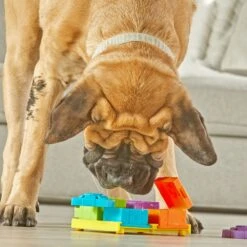 Brightkins Surprise Party! Puzzle Treat Dog Toy -Dog Supplies 805390 PT3. AC SS1800 V1682450532