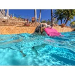 Project Hive Pet Company Hive Wild Berry Scented Disc & Lick Mat Dog Toy, Pink 15 Project Hive Pet Company Hive Wild Berry Scented Disc & Lick Mat Dog Toy, Pink -Dog Supplies 805950 PT6. AC SS1800 V1683566323