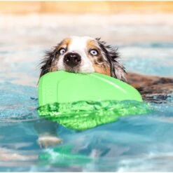 Project Hive Pet Company Hive Tropical Coconut Scented Disc & Lick Mat Dog Toy, Green -Dog Supplies 806142 PT4. AC SS1800 V1683565308