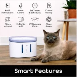 Geeni PetConnect UV Sterilized Circulating Water Smart Dog & Cat Fountain, 2-L 11 Geeni PetConnect UV Sterilized Circulating Water Smart Dog & Cat Fountain, 2-L -Dog Supplies 811790 PT1. AC SS1800 V1688761215
