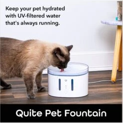 Geeni PetConnect UV Sterilized Circulating Water Smart Dog & Cat Fountain, 2-L 14 Geeni PetConnect UV Sterilized Circulating Water Smart Dog & Cat Fountain, 2-L -Dog Supplies 811790 PT4. AC SS1800 V1688759852