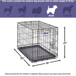 MidWest ICrate Fold & Carry Single Door Collapsible Wire Dog Crate & MidWest Steel Pet Gate 14 MidWest ICrate Fold & Carry Single Door Collapsible Wire Dog Crate & MidWest Steel Pet Gate -Dog Supplies 815134 PT3. AC SS1800 V1679502133
