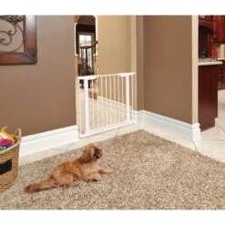 MidWest ICrate Fold & Carry Single Door Collapsible Wire Dog Crate & MidWest Steel Pet Gate 17 MidWest ICrate Fold & Carry Single Door Collapsible Wire Dog Crate & MidWest Steel Pet Gate -Dog Supplies 815134 PT6. AC SS1800 V1679500871