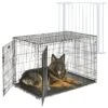 MidWest ICrate Fold & Carry Double Door Collapsible Wire Dog Crate & MidWest Steel Pet Gate -Dog Supplies 815238 MAIN. AC SS1800 V1679500876