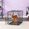 Carlson Pet Products Secure & Compact Single Door Collapsible Wire Dog Crate -Dog Supplies 82471 MAIN. AC SS1800 V1569015804
