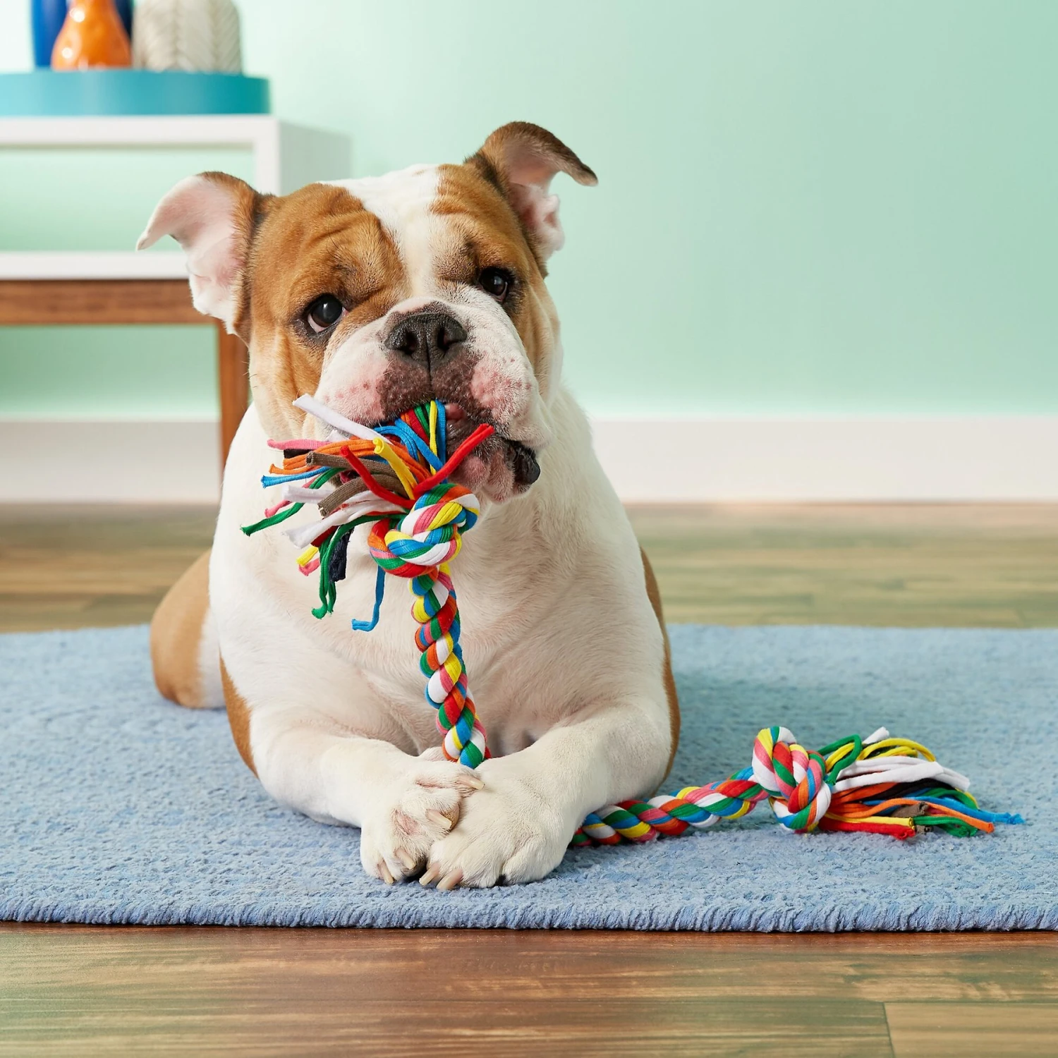 Mammoth Cloth Rope Tug For Dogs, Color Varies 4 Mammoth Cloth Rope Tug For Dogs, Color Varies - Image 2