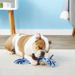 Mammoth Cloth Rope Tug For Dogs, Color Varies 12 Mammoth Cloth Rope Tug For Dogs, Color Varies -Dog Supplies 83166 PT3. AC SS1800 V1633020467