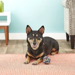 Mammoth Monkey Fist Ball For Dogs -Dog Supplies 83229 PT2. AC SS1800 V1530547669