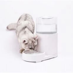 Hanamya Automatic Water Dispenser With 3 Liter Capacity Dog & Cat Waterer, White 7 Hanamya Automatic Water Dispenser With 3 Liter Capacity Dog & Cat Waterer, White -Dog Supplies 838830 PT2. AC SS1800 V1682371270