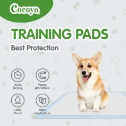 COCOYO Best Value Dog Training Pad, 22-in X 22-in, 30 Count -Dog Supplies 846774 PT3. AC SS1800 V1694726713