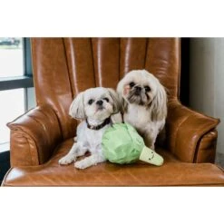 Injoya Artichoke Cat & Dog Snuffle Toy, Green, Small 7 Injoya Artichoke Cat & Dog Snuffle Toy, Green, Small -Dog Supplies 848070 PT2. AC SS1800 V1685463057