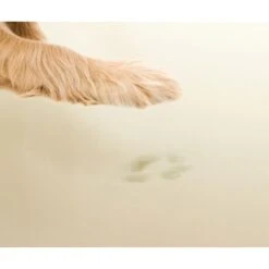 Friends Forever Harper Orthopedic Couch Bolster Sofa With Removable Cover Cat & Dog Bed, Grey -Dog Supplies 851342 PT4. AC SS1800 V1683836274