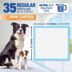 Lil' Squirts Charcoal Activated Odor Control Dog Training Pads, 35 Count -Dog Supplies 853862 PT2. AC SS1800 V1686330231