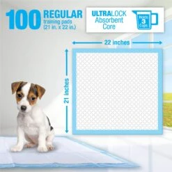 Lil' Squirts Dog Training Pads, 100 Count -Dog Supplies 853878 PT2. AC SS1800 V1686330228
