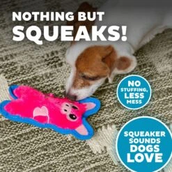 Outward Hound Invincibles Minis Squeaky Stuffing-Free Plush Dog Toy 10 Outward Hound Invincibles Minis Squeaky Stuffing-Free Plush Dog Toy -Dog Supplies 85905 PT3. AC SS1800 V1636517562