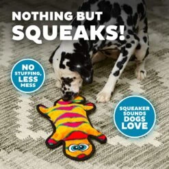 Outward Hound Invincibles Geckos Squeaky Stuffing-Free Plush Dog Toy -Dog Supplies 85913 PT3. AC SS1800 V1636508482