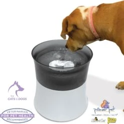 Pioneer Pet Vortex Elevated Drinking Dog Fountain, Gray, Medium 11 Pioneer Pet Vortex Elevated Drinking Dog Fountain, Gray, Medium -Dog Supplies 873118 PT3. AC SS1800 V1686334835