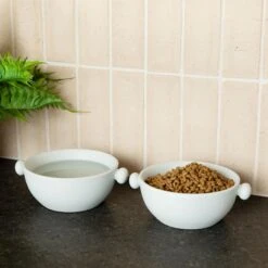 Waggo Bobble Ceramic Cat & Dog Bowl, Medium -Dog Supplies 889206 PT2. AC SS1800 V1698346578