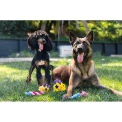 P.L.A.Y. Pet Lifestyle And You Party Time Mini Party Horn Plush Squeaky Dog Toy, X-Small -Dog Supplies 896334 PT3. AC SS1800 V1689793814