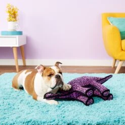 Tuffy's Dinosaur Stegosaurus Squeaky Plush Dog Toy -Dog Supplies 90127 PT4. AC SS1800 V1531549346