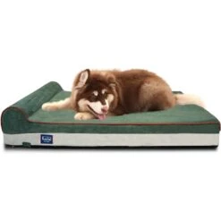 LaiFug Single Pillow Dog Bed