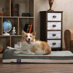 LaiFug Single Pillow Dog Bed 13 LaiFug Single Pillow Dog Bed -Dog Supplies 907350 PT5. AC SS1800 V1689095461