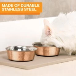Neater Pets Brands Decorative Hammered Dog & Cat Bowl -Dog Supplies 909350 PT3. AC SS1800 V1688580431