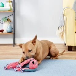 KONG Floppy Knots Dog Toy, Fox & KONG Floppy Knots Dog Toy, Bunny -Dog Supplies 916630 PT8. AC SS1800 V1689884661