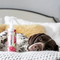 Isle Of Dogs Red Berries + Champagne Replascent Odor Deodorizing Spray -Dog Supplies 92319 PT3. AC SS1800 V1646869284