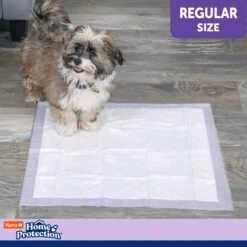 Hartz Home Protection Odor Eliminating Dog Pee Pads -Dog Supplies 93304 PT5. AC SS1800 V1689019587