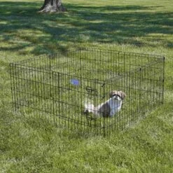 MidWest Wire Dog Exercise Pen With Step-Thru Door, Black E-Coat & MidWest Exercise Pen Top Fabric Mesh Sunscreen Accessory, Square Configuration, Black 15 MidWest Wire Dog Exercise Pen With Step-Thru Door, Black E-Coat & MidWest Exercise Pen Top Fabric Mesh Sunscreen Accessory, Square Configuration, Black -Dog Supplies 939350 PT4. AC SS1800 V1691785902