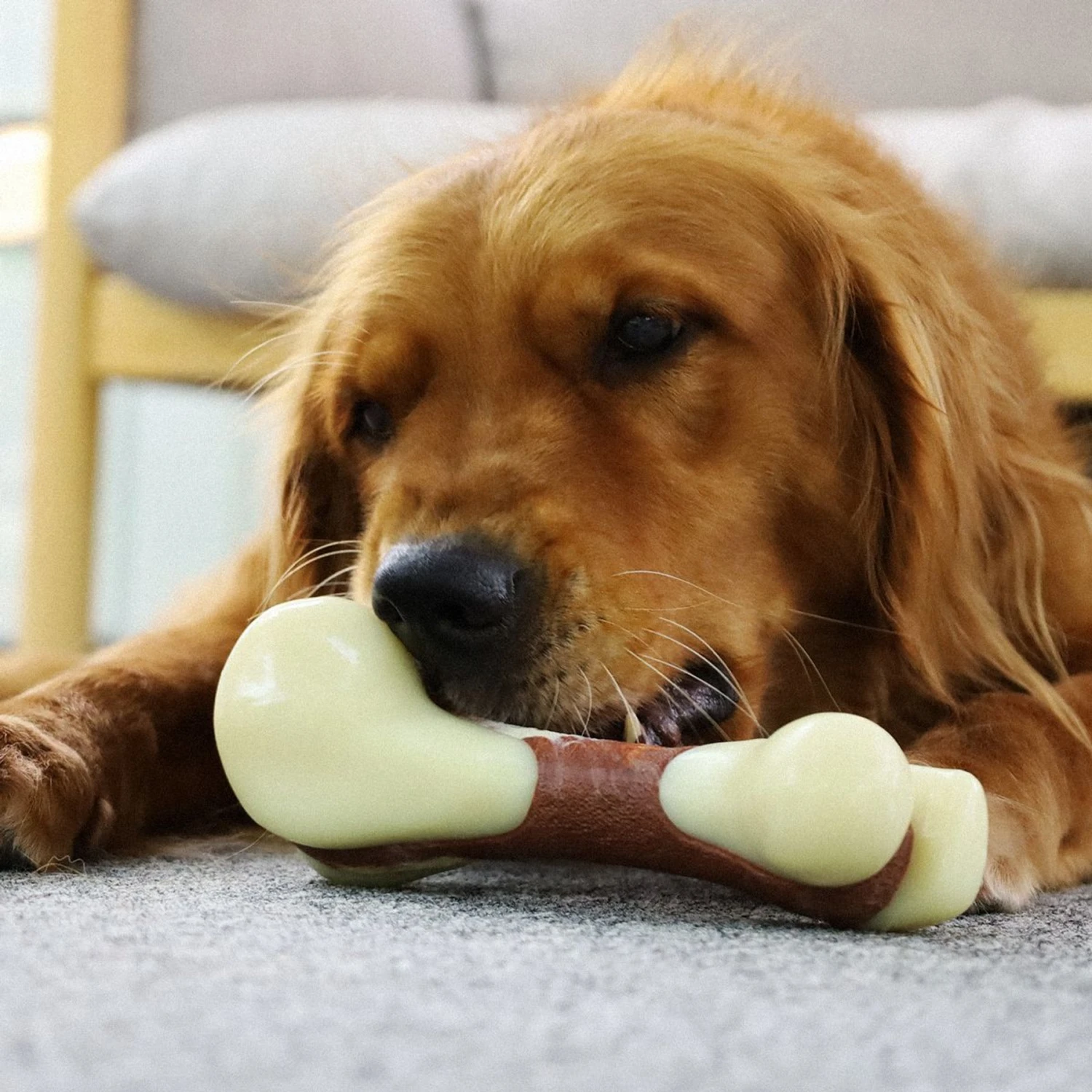 Tikaton Beef Flavored Dog Chew Toy 4 Tikaton Beef Flavored Dog Chew Toy - Image 2