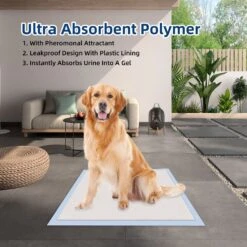 Honey Care All-Absorb Ultra Absorbent Odor Eliminating Quick-Dry Surface Dog Pads, 22x23-in, 14 Count 10 Honey Care All-Absorb Ultra Absorbent Odor Eliminating Quick-Dry Surface Dog Pads, 22x23-in, 14 Count -Dog Supplies 982982 PT3. AC SS1800 V1697711087
