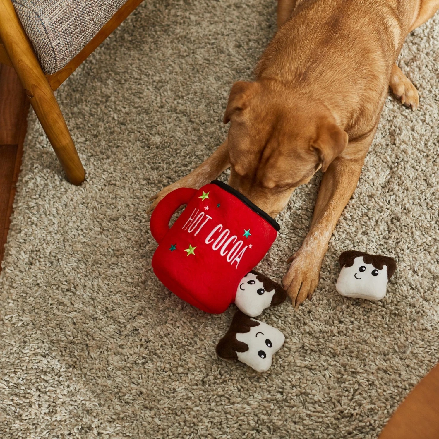 Frisco Holiday Hot Cocoa Hide & Seek Puzzle Plush Squeaky Dog Toy & Frisco Holiday North Pole Mailbox Hide & Seek Puzzle Plush Squeaky Dog Toy 7 Frisco Holiday Hot Cocoa Hide & Seek Puzzle Plush Squeaky Dog Toy & Frisco Holiday North Pole Mailbox Hide & Seek Puzzle Plush Squeaky Dog Toy - Image 5