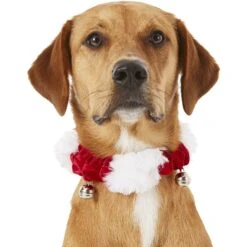Frisco Jingle Bells Dog & Cat Holiday Collar With Bells, 1 Count & Frisco Holiday Antler Headband & Bell Collar Dog & Cat Costume -Dog Supplies 986294 PT3. AC SS1800 V1698257734