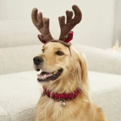 Frisco Jingle Bells Dog & Cat Holiday Collar With Bells, 1 Count & Frisco Holiday Antler Headband & Bell Collar Dog & Cat Costume -Dog Supplies 986294 PT7. AC SS1800 V1698258404