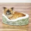 MidWest QuietTime Defender Orthopedic Bolster Cat & Dog Bed With Removable Cover 2 MidWest QuietTime Defender Orthopedic Bolster Cat & Dog Bed With Removable Cover -Dog Supplies 99103 MAIN. AC SS1800 V1566935537